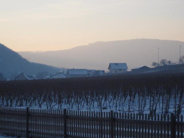 Moselschoen 2.0 Alken Buitenkant foto